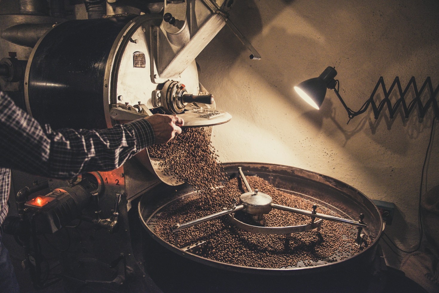 Essential Brewing Gear for Your Daily Ritual